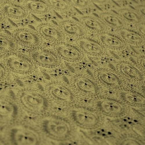 Simple Eyelet Pattern Silk Shantung Embroidery