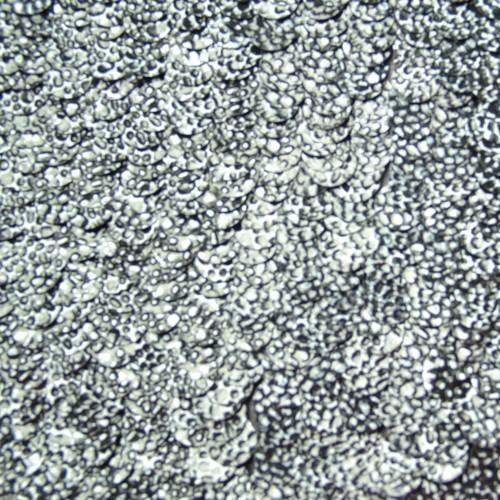 Silver Handwork Sequins Silk Georgette