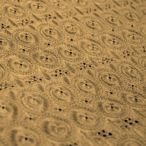 Simple Eyelet Pattern Silk Shantung Embroidery