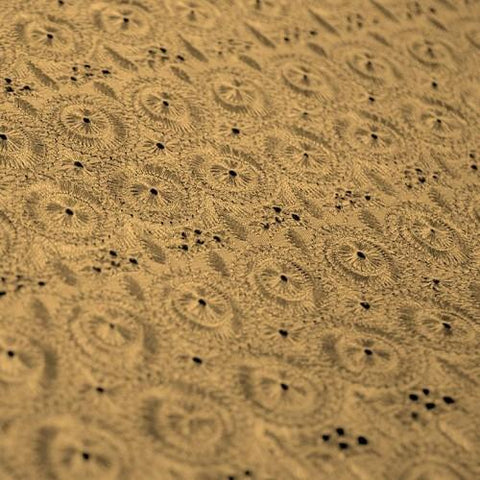 products/2-500x500-42_60f94745-dfba-4578-b2c6-6690a2981eef.jpg