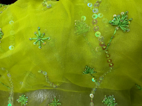 Chiffon silk embroidered