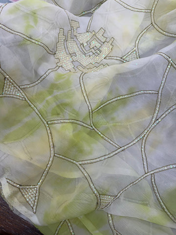 Silk chiffon with French Hand embroidery