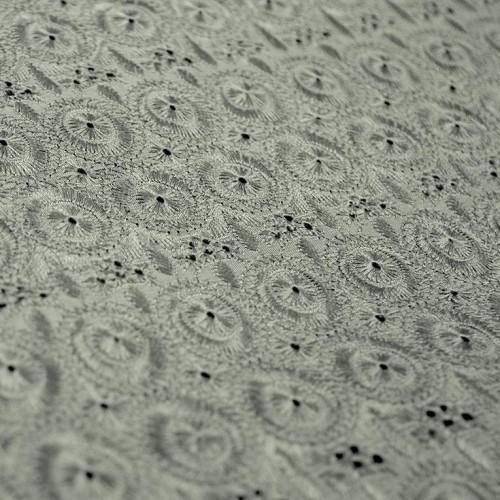 Simple Eyelet Pattern Silk Shantung Embroidery
